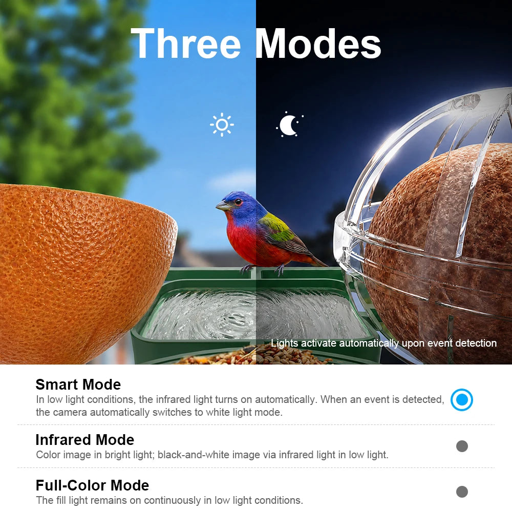 Smart Bird Feeder Camera with AI & Solar Panel – 4MP