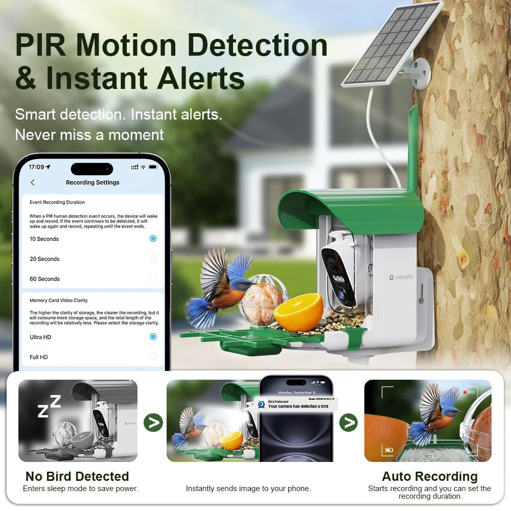 Smart Bird Feeder Camera with AI & Solar Panel – 4MP